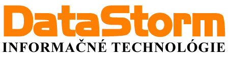 logo datastorm